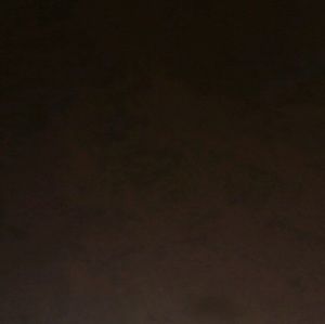 Meet your Posher, Eunice